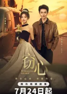 ربودن دل با زیرنویس فارسی و لینک مستقیم