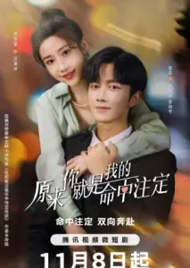 تو سرنوشت منی با زیرنویس فارسی و لینک مستقیم